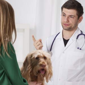 Proprietari e veterinari: punti di vista diversi.