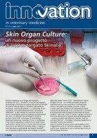 Skin Organ Culture (SOC): un nuovo progetto di ricerca targato Skinalia®