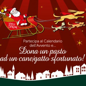 Torna il Calendario dell’Avvento per i cani sfortunati