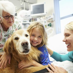Pet therapy per bambini malati di tumore