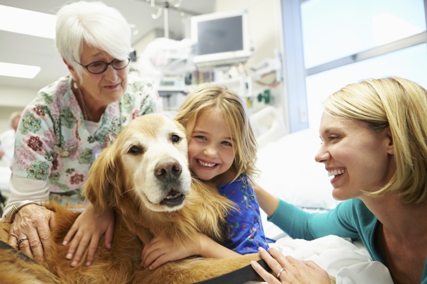 Pet therapy per bambini malati di tumore