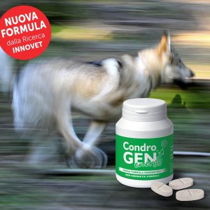 Condrogen® Energy, un pieno di energia per la salute articolare