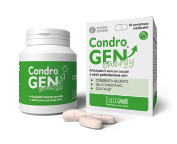 Condrogen® Energy