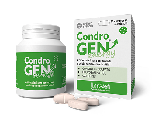 Condrogen® Energy