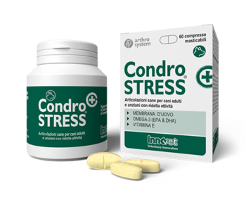 Condrostress® (+)