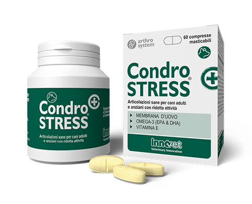 Condrostress® (+)