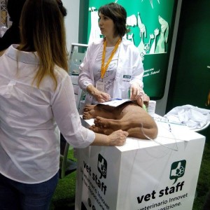 Salute e benessere al Quattrozampeinfiera