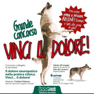 Sei un veterinario? Partecipa a “Vinci il dolore!”
