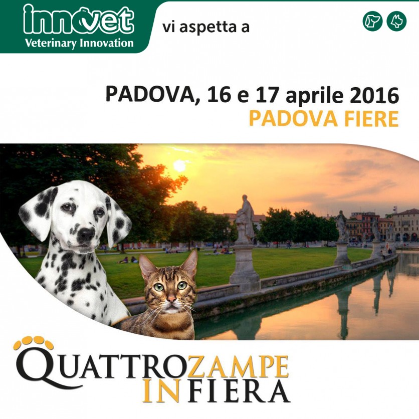 Innovet a Quattrozampeinfiera