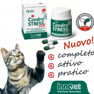 Un Condrostress® (+) solo per gatti