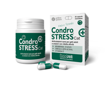 Condrostress® (+) Cat