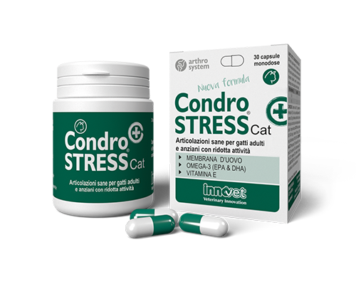 Condrostress® (+) Cat