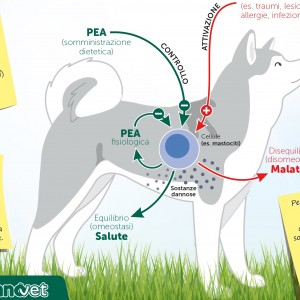 Una miniguida per mantenerli sani secondo Natura