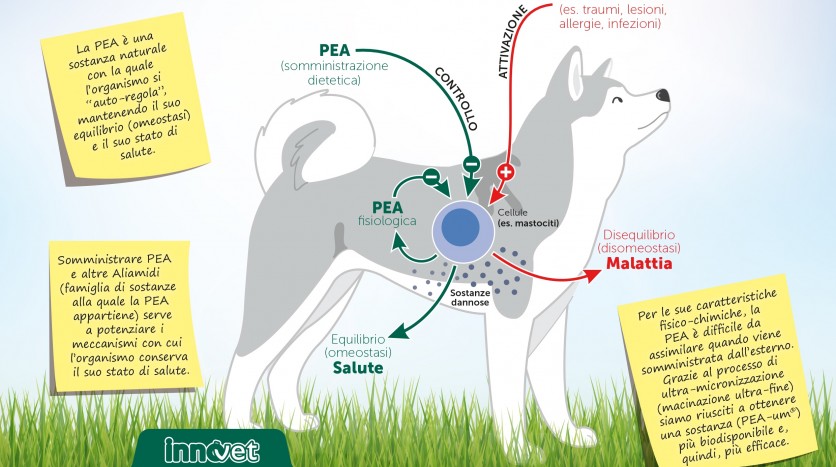 Una miniguida per mantenerli sani secondo Natura