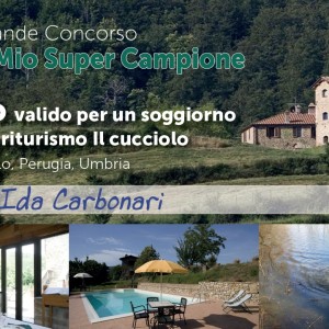 Briciola “Super Campione” a 4 zampe