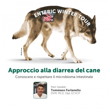Approccio alla diarrea del cane (EWT)