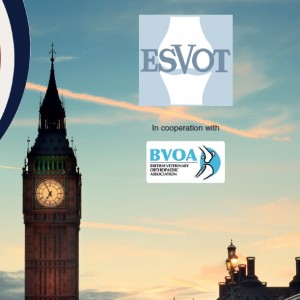 Ortopedici veterinari all’ombra del Big Ben
