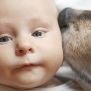Cani e neonati: una convivenza vantaggiosa