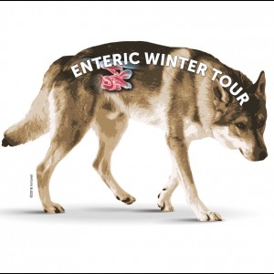 Enteric Winter Tour: un ciclo di serate sulla diarrea del cane