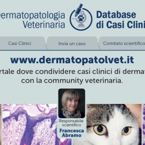 Un nuovo servizio online per la diagnosi dermatologica