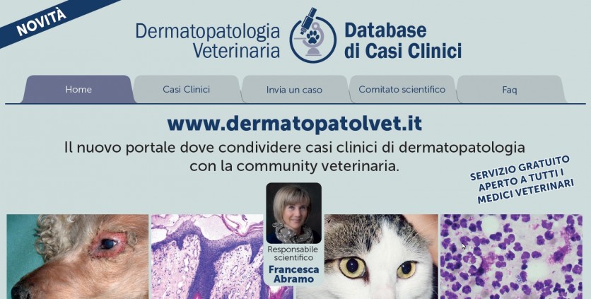 Un nuovo servizio online per la diagnosi dermatologica