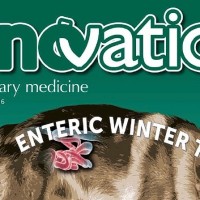 Uno speciale di InnVetMed dedicato alla diarrea