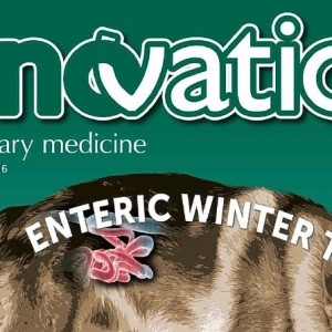 Uno speciale di InnVetMed dedicato alla diarrea