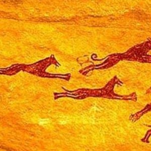 Il cane preistorico soffriva di artrosi