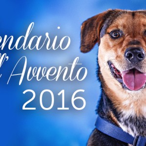 Un Natale speciale con il Calendario dell’Avvento Innovet