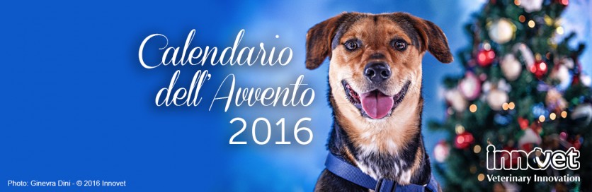 Un Natale speciale con il Calendario dell’Avvento Innovet