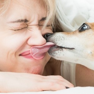 Malattia parodontale trasmissibile da cane a uomo?