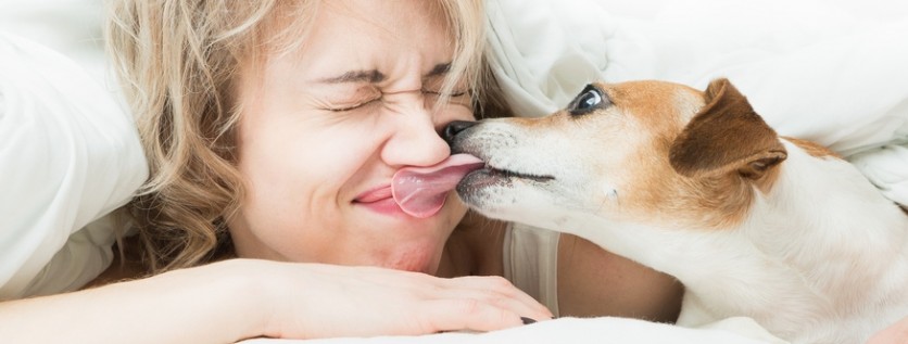 Malattia parodontale trasmissibile da cane a uomo?