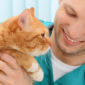 Le principali malattie del cane e del gatto