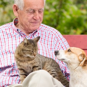 Anziani amici di cani e gatti