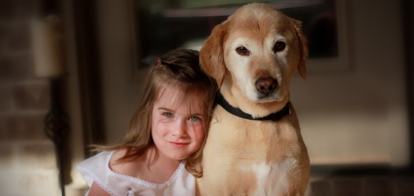 Per tuo figlio meglio un cane che un fratello