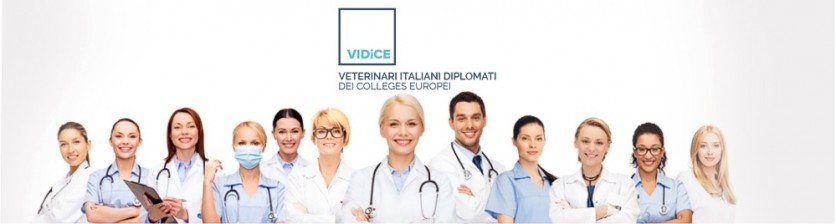 Nasce l’associazione degli specialisti veterinari