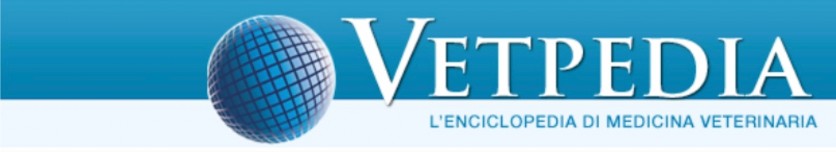 PEA in prima pagina su VetPedia