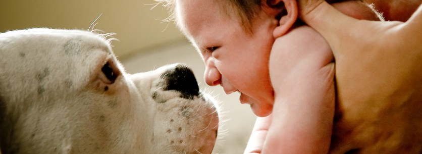 Vivere con un cane protegge da allergie e obesità