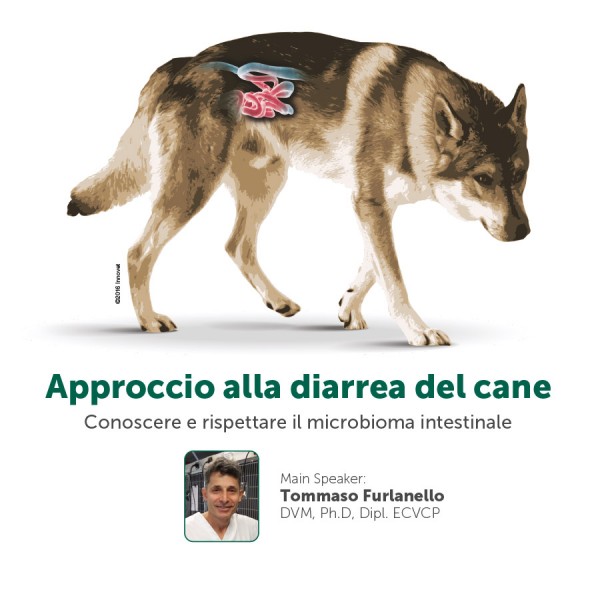 Approccio alla diarrea del cane