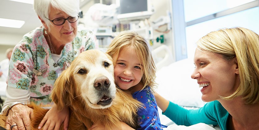 Cani in corsia alla Clinica Pediatrica