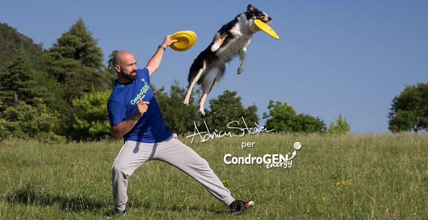 La salute articolare nei cani da Disc Dog