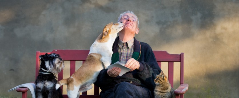 Senior e animali domestici: un rapporto d’amore