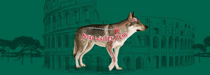 Il Pain Winter Tour fa tappa a Roma