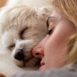 Dormire con il cane migliora il sonno