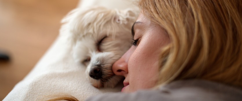 Dormire con il cane migliora il sonno