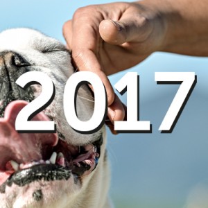 10 tappe per ripercorrere un anno di successi