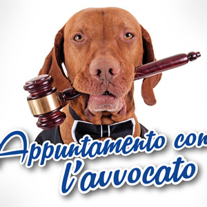 Consulenza legale gratuita per tutti i veterinari del VetExpo