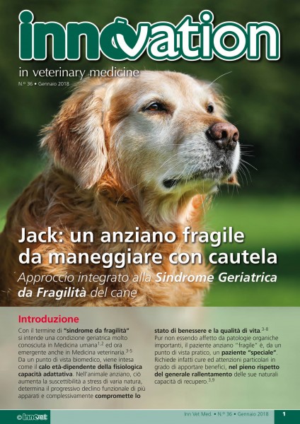 Jack: un anziano fragile da maneggiare con cautela. Approccio integrato alla Sindrome Geriatrica da Fragilità del cane.