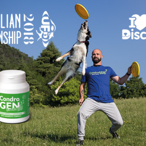 Parte il  campionato nazionale 2018 di Disc Dog