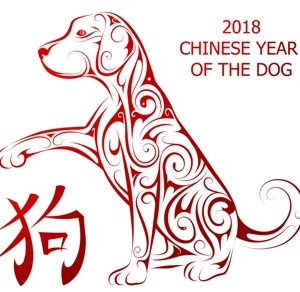 Il 2018 è l’anno del cane